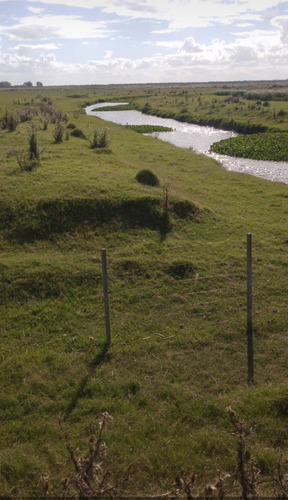 Campo Financiado
