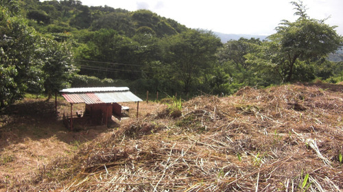 Imagen 23 de 30 de Cerca Del Cc Daymar Guatire 04143184932
