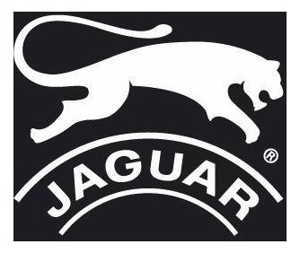 Imagen 2 de 4 de Zapatillas Deportivas Jaguar Art 9066