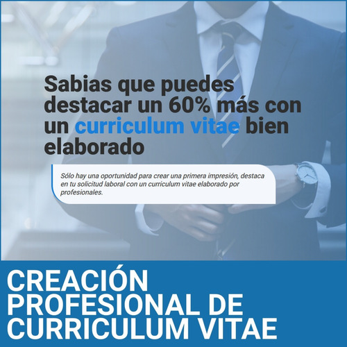 Creación Y Diseño De Curriculum Vitae A Petición