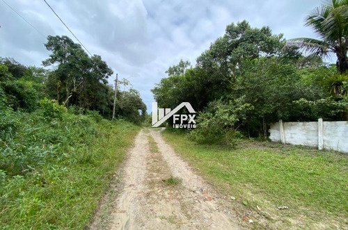 Imagem 3 de 6 de Terreno No Litoral Medindo 27750m² - Ter092 Lc