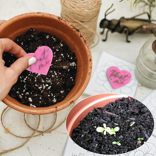 Papel Plantable Plant Me Seeded Paper, Obsequio De Pape...
