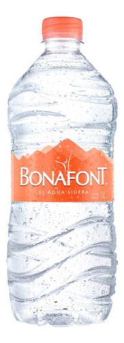 Agua Bonafont 12 Piezas De 1 Lt Osh