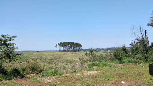 Terreno En Venta En Centro