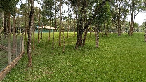 Imagem 3 de 7 de Sítio / Chácara Para Venda Em São José Dos Pinhais, Zona Rural - 139_2-1416838
