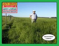 Comprar Campos Chacra Estancia Necesitamos Ya!! Para Arrendar Alquilar Venta Ganadero Agricola Tambo Forestal Pedidos Concretos Todo El Pais Se Ofrece Garantía Renta Pagada Adelantada Rápida Revisión Reserva
