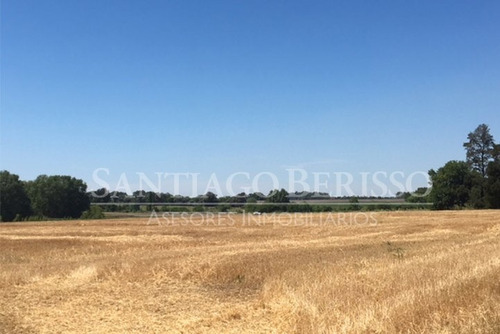 Imagen 4 de 5 de Terreno Campo En Venta Ubicado En Zárate, G.b.a. Zona Norte