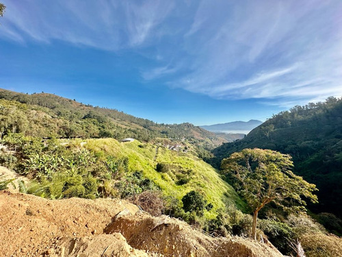 Se Vende Terreno 122.076m2 Los Salías Los Teques Miranda
