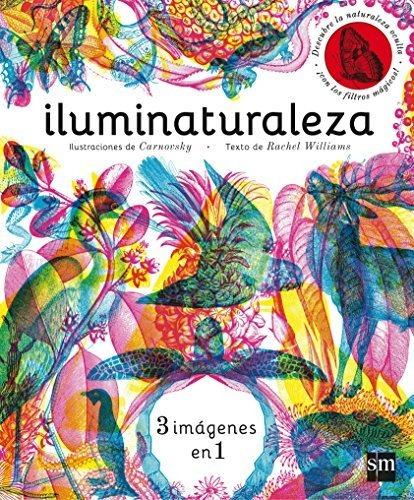 Iluminaturaleza (álbumes Ilustrados)