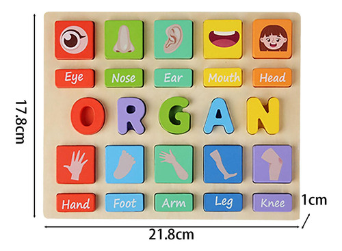 Juego De Rompecabezas Montessori Para Niños, Juguete Organo