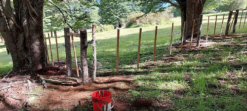Parcela 1 Ha Con 80 Mt De Orilla De Lago Castor