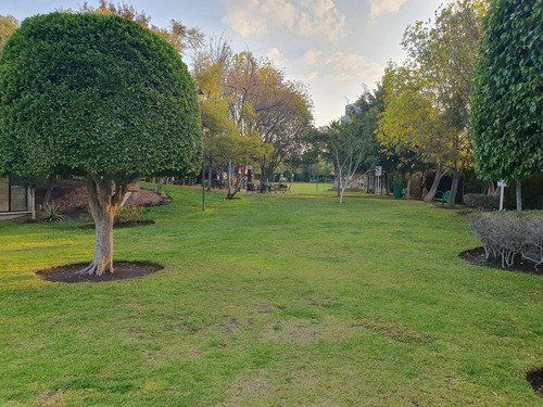 Hermosa Residencia En Centro Sur, Claustros Del Sur, C.342 M2, 3 Niveles