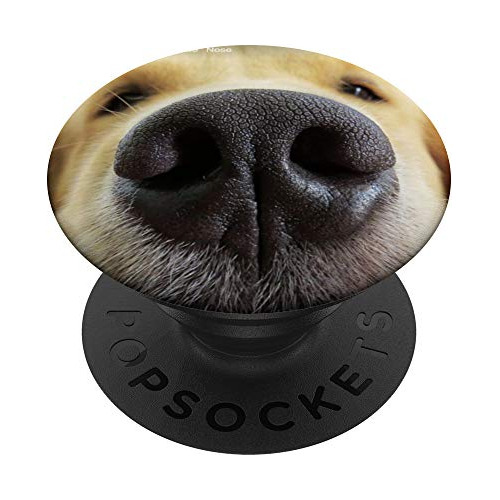 Propietario Del Perro Muzzle Snoot Navidad Golden Lkzgy