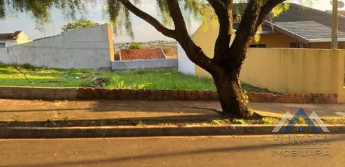 Imagem 1 de 7 de Terreno À Venda, 200 M² Por R$ 105.000,00 - Jardim Colúmbia D - Londrina/pr - Te0421