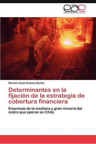 Libro: Determinantes En La Fijación De La Estrategia De De Y