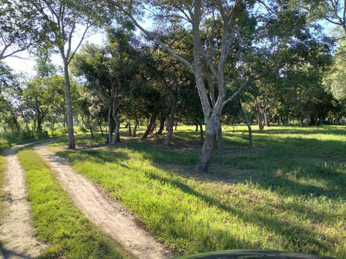 Terrenos Sobre La Costa Del Río, Inversión Ideal Para Disfutar