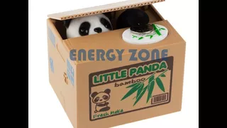 Tienda - Alcancia De Oso Panda Roba Monedas Caja Ahorrador