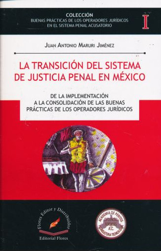 Libro: Transicion Del Sistema De Justicia Penal En Mexico, L