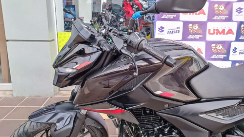 Imagen 9 de 15 de Pulsar N 250