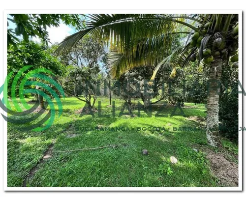 Lote En Venta En Vereda Los Cauchos. Cod V61225