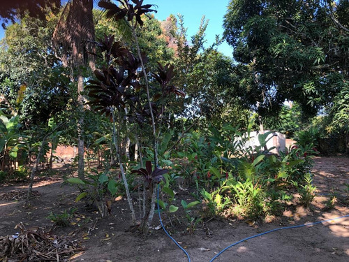 Imagem 23 de 30 de Chácara À Venda, 3664 M² Por R$ 540.000,00 - Aldeia - Camaragibe/pe - Ch0025
