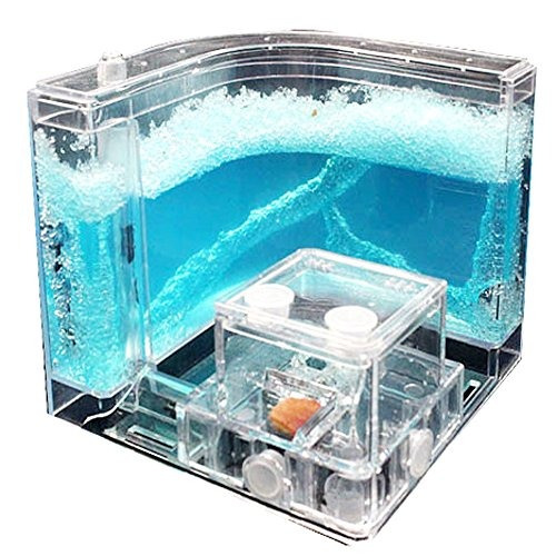 Navadeal Ant Castle Experiment And Toy Permite Estudiar La E