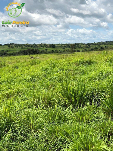 Imagem 4 de 8 de Fazenda À Venda Em Arapoema - To - 5.082 Hec/planta Lavoura De Soja - 1914