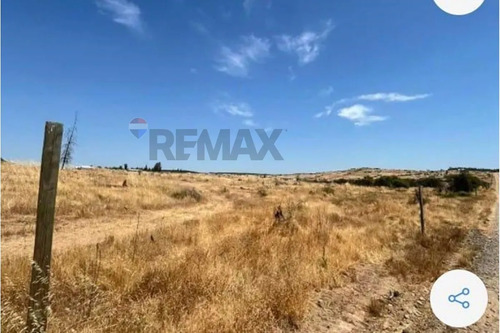 Venta Parcela, Caliboro, Región Del Maule