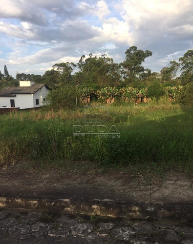 Imagem 3 de 3 de Terreno - Primeiro De Maio - Ref: 29754 - V-29752