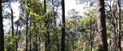 Imagen 9 de 10 de Terreno En Venta.