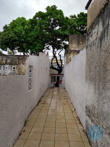 Imagem 5 de 8 de Terreno Na Rua Apodi - V-10679