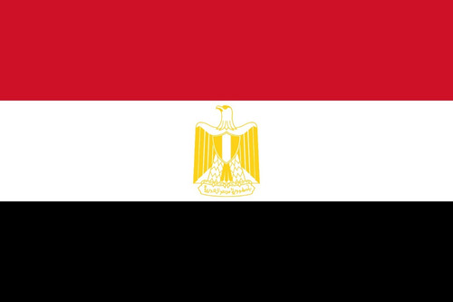 Bandera De Egipto Medida Oficial