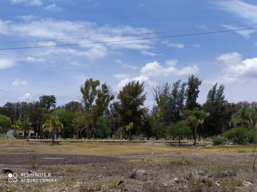 Terreno En Venta Rancho La Pitaya Apaseo El Grande Gto