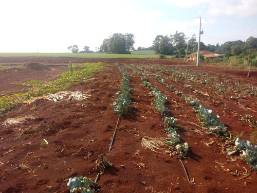 Chácara Próxima Da Cidade Entre Rios Do Oeste