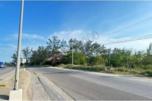 Terreno Ideal Para Desarrollo De Parque Industrial O Centro De Distribución En Ciudad Madero Tamps.