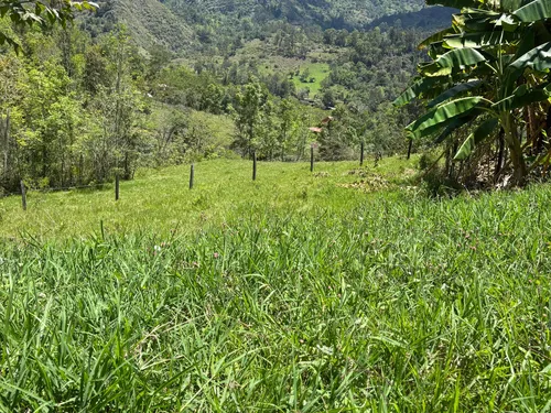 Vendo Finca En Machetá Cundinamarca A 1.5 Horas De Bogotá!