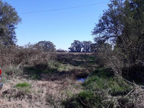 Campo En Venta En Los Cardales