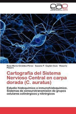 Cartografia Del Sistema Nervioso Central En Carpa Dorada ...