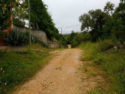 Imagem 5 de 15 de Chácara À Venda, Bonanza - Santa Luzia/mg - 110