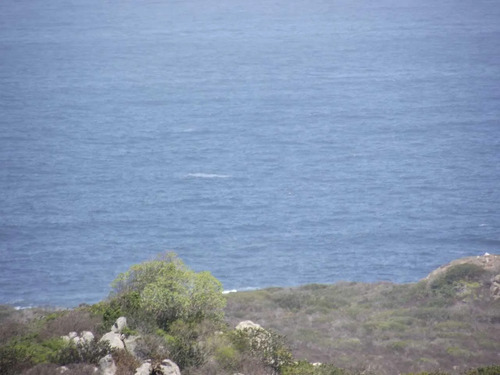 Venta Parcela, Rocas Del Mar, Los Molles (172254)