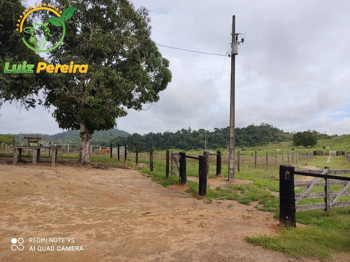 Imagem 6 de 15 de Fazenda À Venda Em Jacunda - Pa - 1.258,4 Hectares (dupla Aptidão) - 2032
