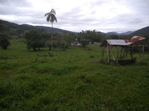 Imagem 15 de 30 de Fazenda - Fa00001 - 33289252