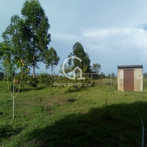 Imagen 4 de 5 de Group Inmotc Vende Terreno Vía Puerto Ordaz/ciudad Bolívar.