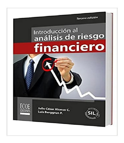 Introduccion Al Analisis De Riesgos Financieros, Libro