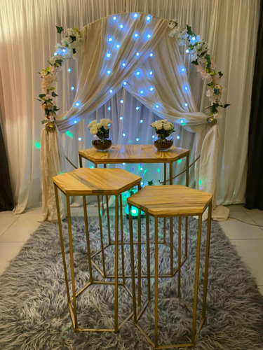 Alquiler Livings Para Eventos Y Deco Globos.luz Led Y Neon