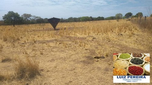 Fazenda À Venda Em Gurupi - To - De 20 Alqueirões (pecuária) - 1494
