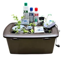 Comprar Kit De Cultivo Hidropónico De Raíz Flotante