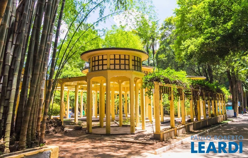 Imagem 14 de 15 de Casa Térrea - Perdizes - Sp - 586224