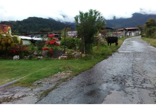 Imagen 4 de 20 de En Venta Acogedora Casa, El Valle Sector Las Cuadras. Mérida