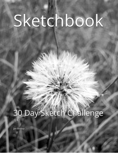 Libro: Sketchbook: 30 Day Sketch Challenge